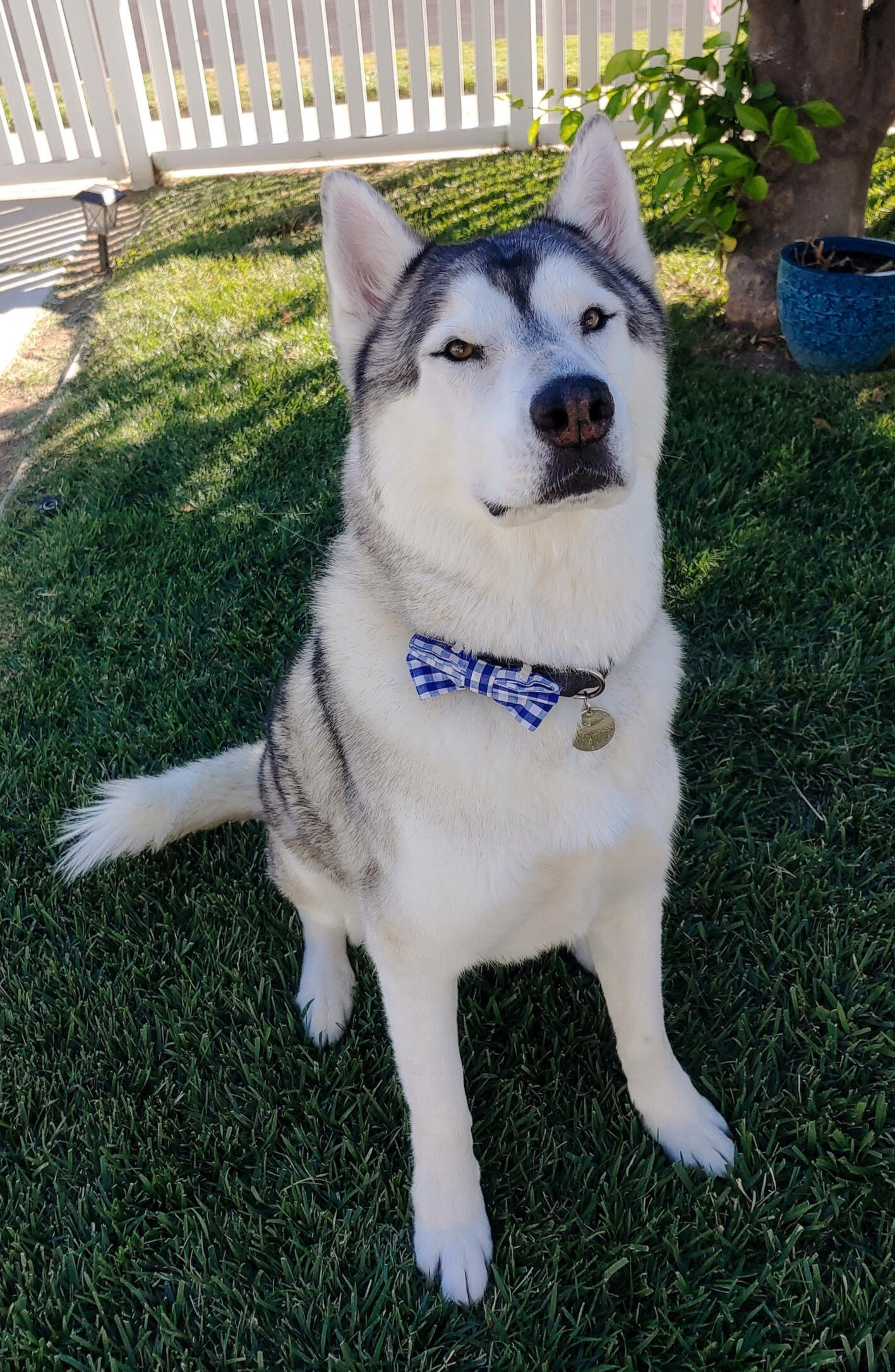 At your service